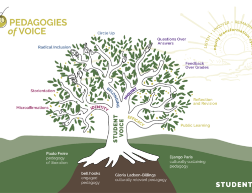 Pedagogies of Voice: First Look!